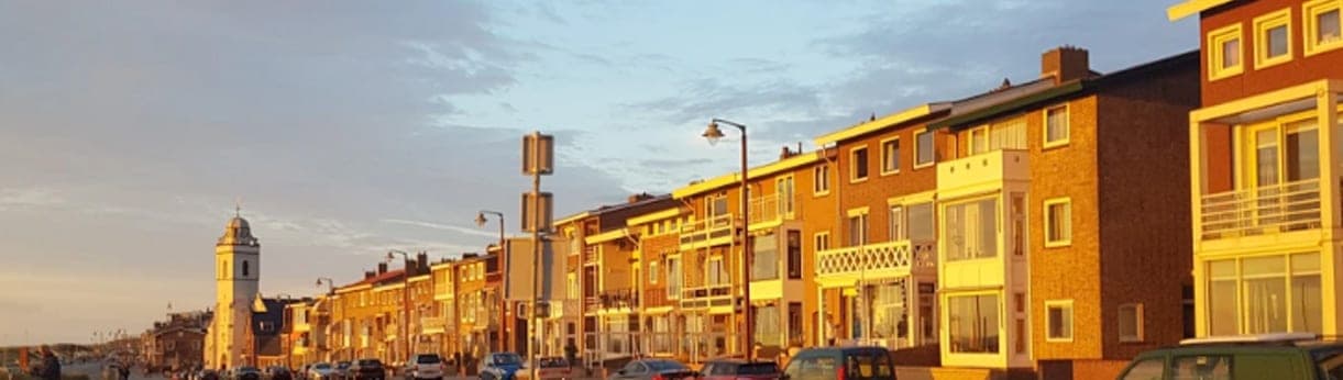 Dynamic Pittsburgh Visgraat XL Lijm PVC Bonfire Oak in Katwijk
