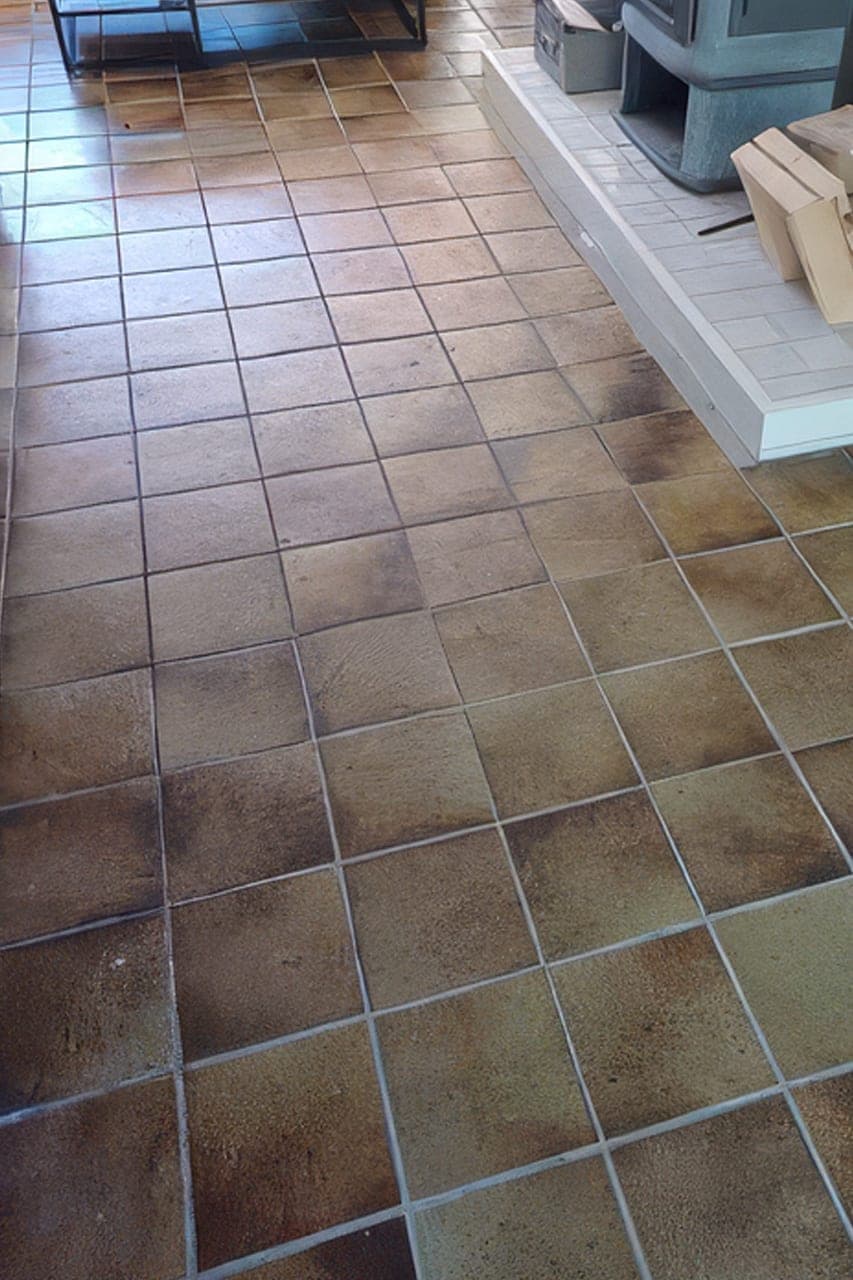 Arborea multiplank in Schiedam