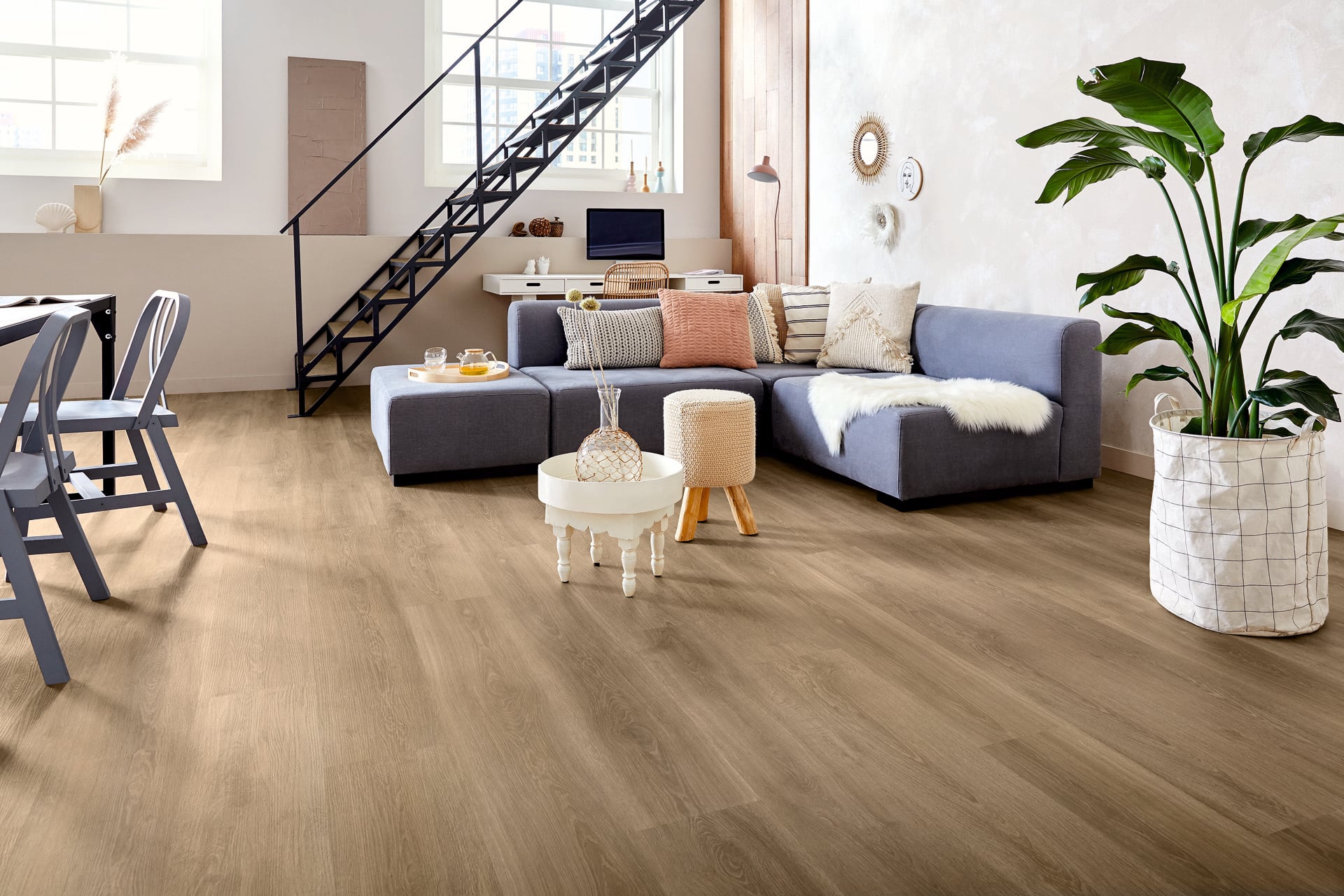 Lijm PVC mFLOR 73025 River Oak XL Douro 1500x230x2,5mm 0,55