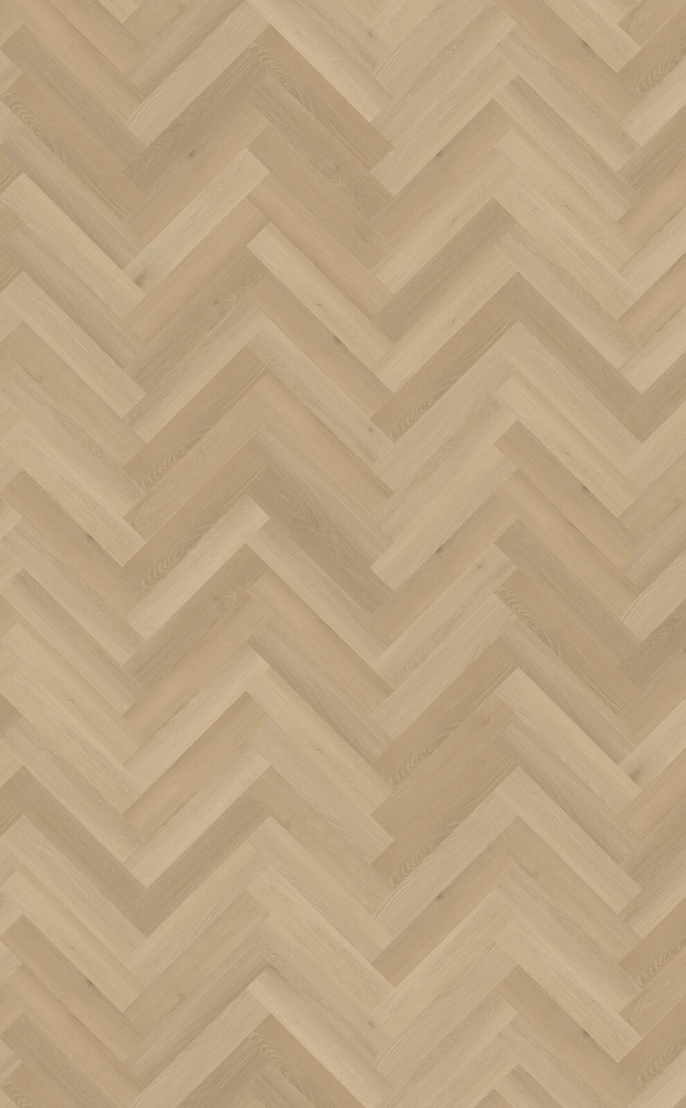 Borgo visgraat XL 31 762x152x2,5mm 0,55