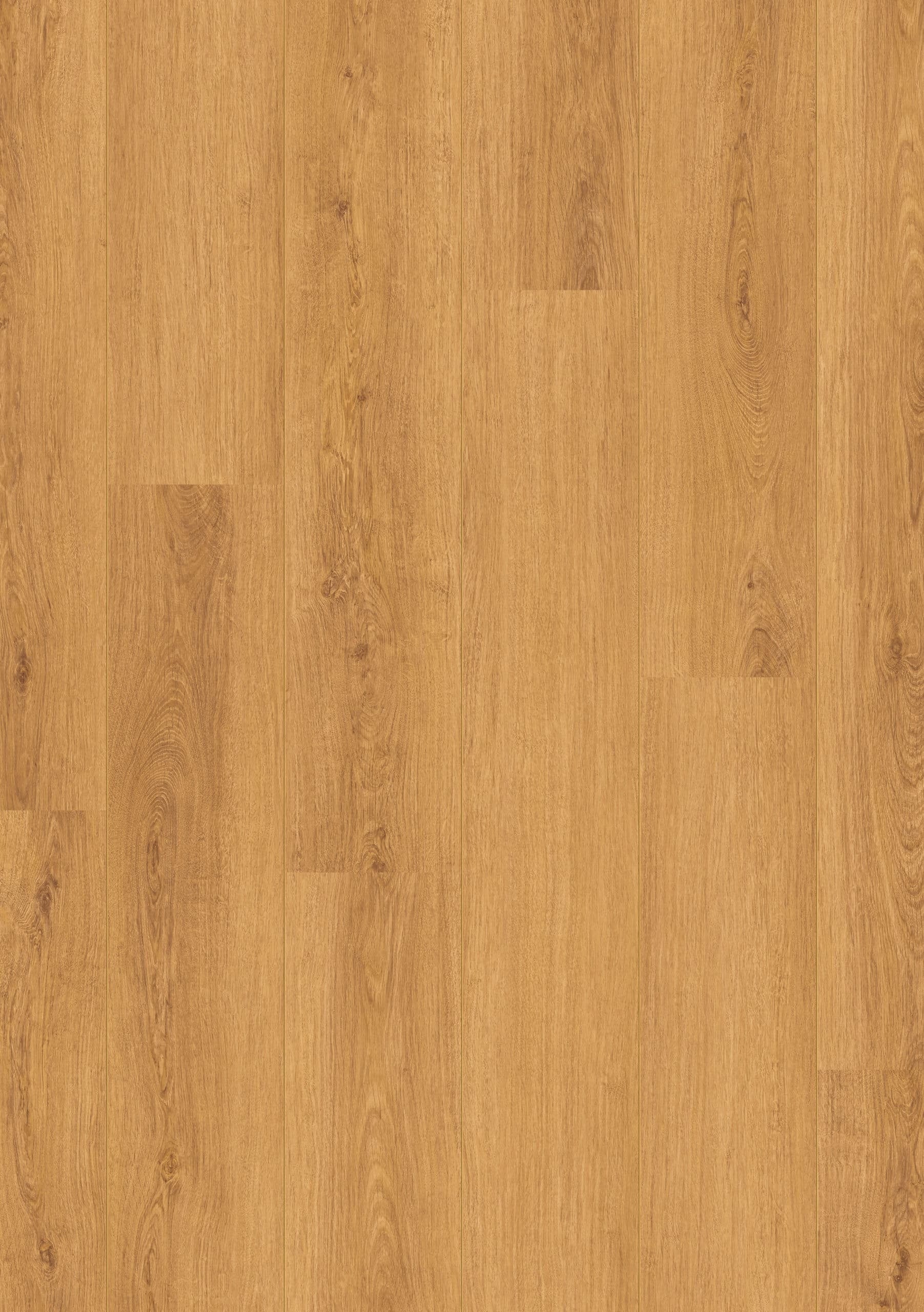 Beautifloor Laminaat West-Vlaanderen Vleteren 1261x192x8mm Aqua Protect