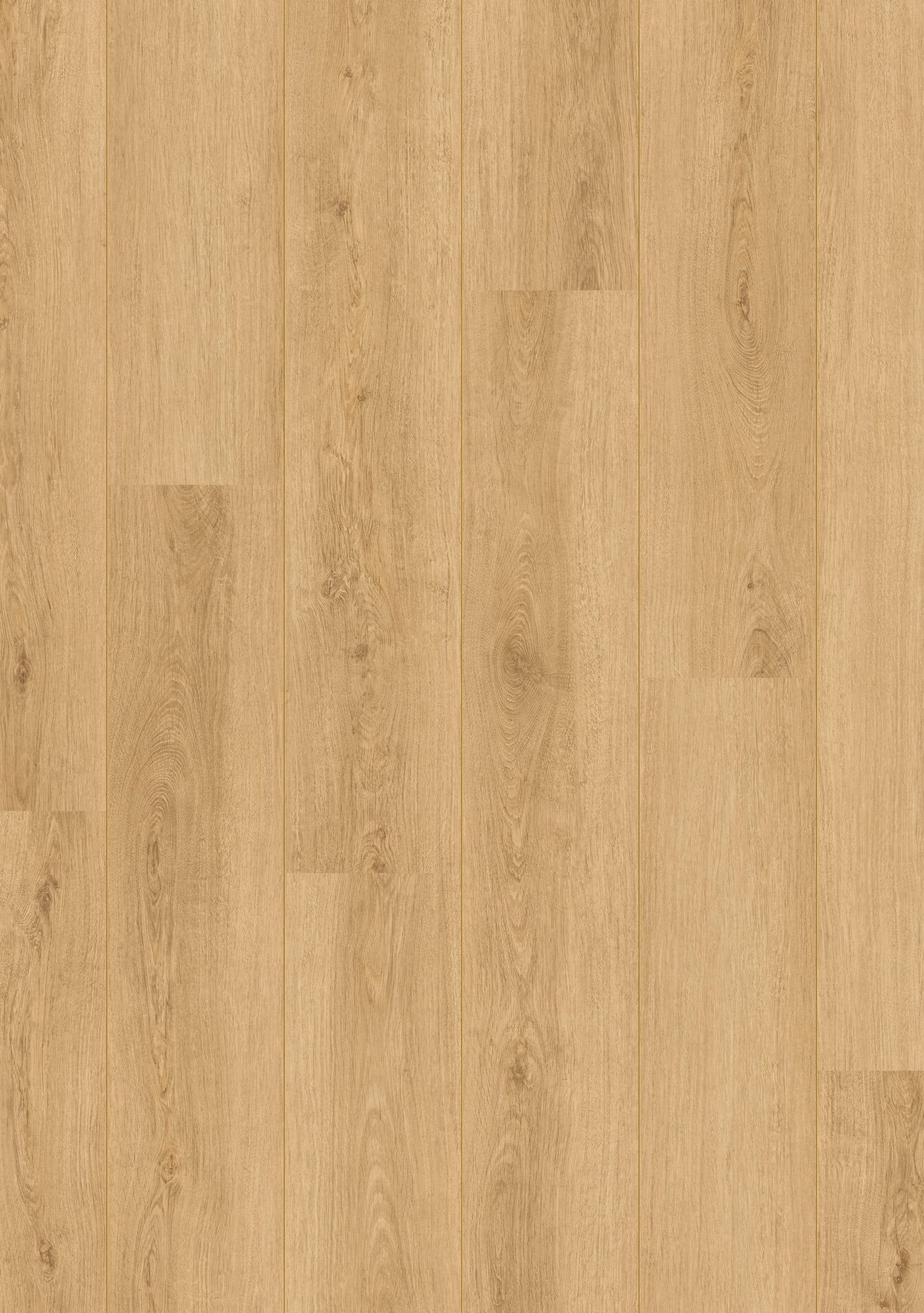 Beautifloor Laminaat West-Vlaanderen Oudenburg 1261x192x8mm Aqua Protect
