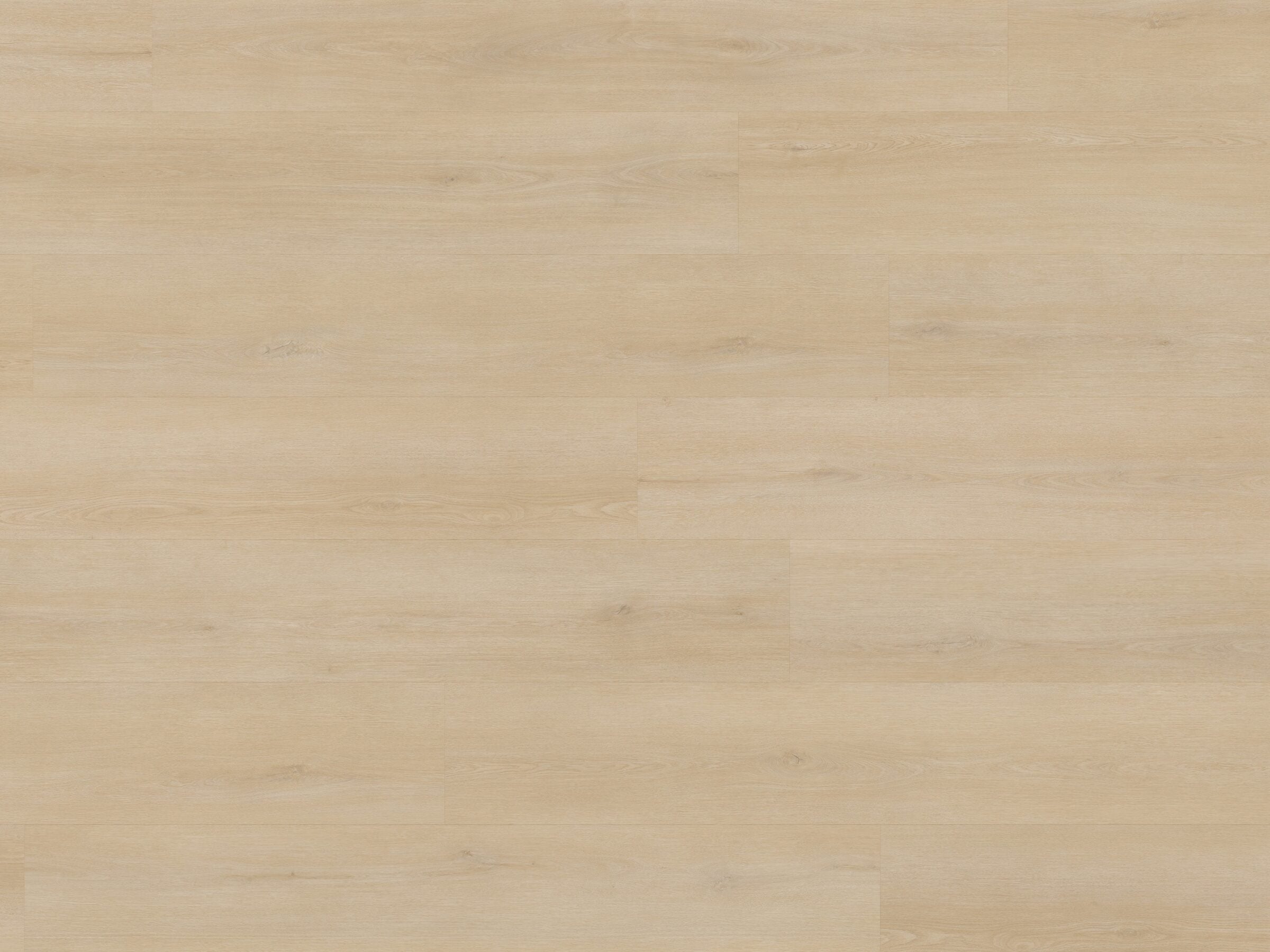NaturaDeck Pure Craie Plank Lijm PVC 1500x250x2,5mm 0,55