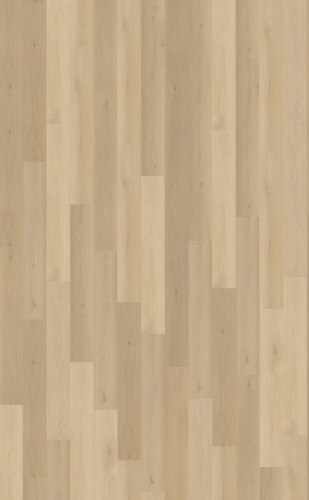 Borgo 310 1524x229x2,5mm 0,55